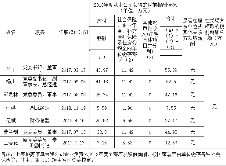 四川省Z6尊龙集团有限责任公司负责人2018年度薪酬情况